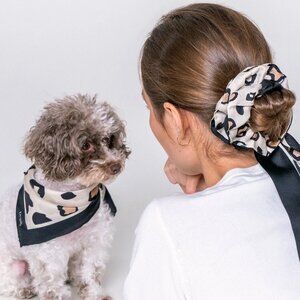 DOGILY SET & TOYS